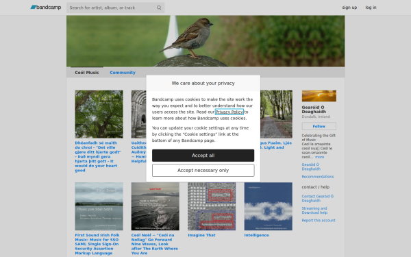 homesteadpost.bandcamp.com