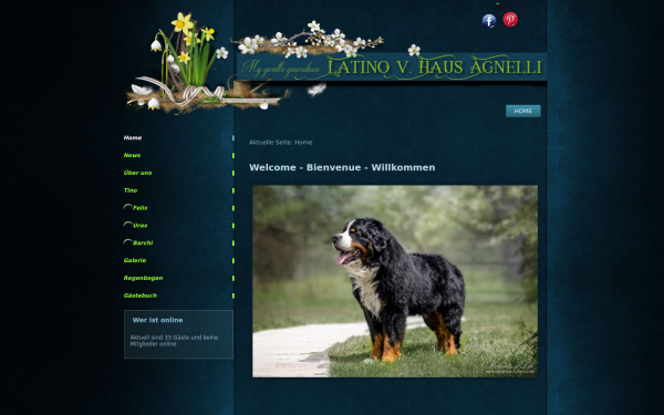 www.m-thonhofer.at