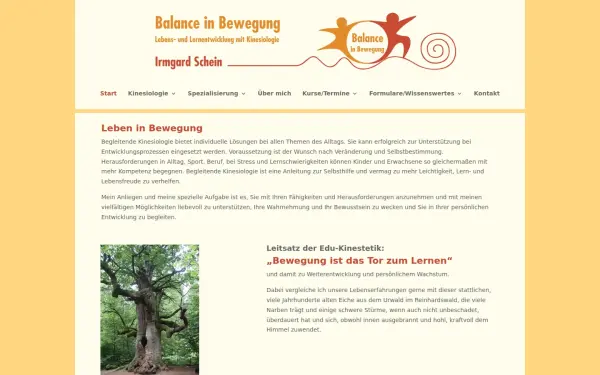 balance-in-bewegung.de