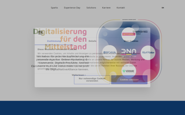 digitalnativealliance.com