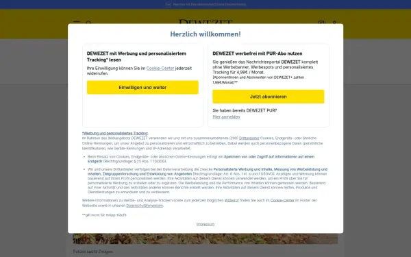 www.dewezet.de