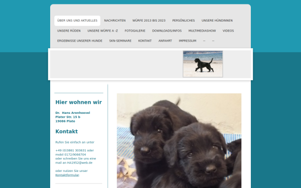 www.riesenschnauzervomweselerwald.de