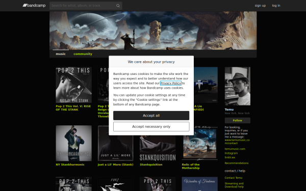 temumusic.bandcamp.com