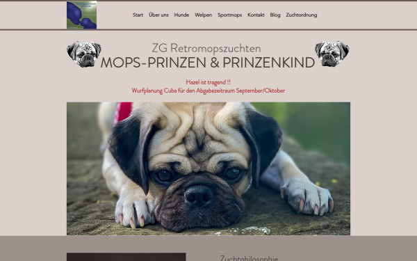 www.mops-prinzen.de