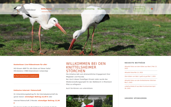 www.knittelsheim-storch.de