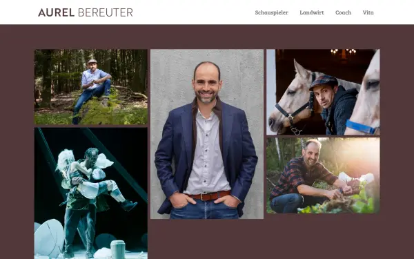 aurel-bereuter.de