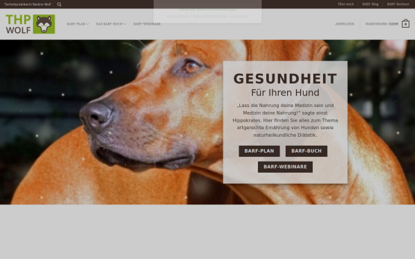 www.thp-wolf.de