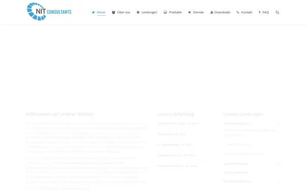 nit-consultants.de
