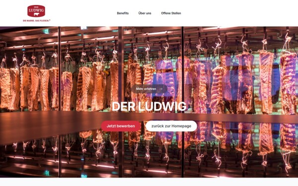 der-ludwig.job-display.de