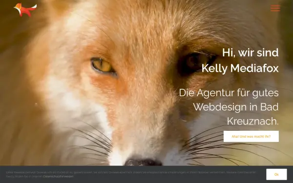 kelly-mediafox.de