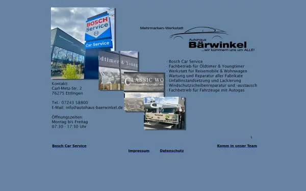 autohaus-baerwinkel.de