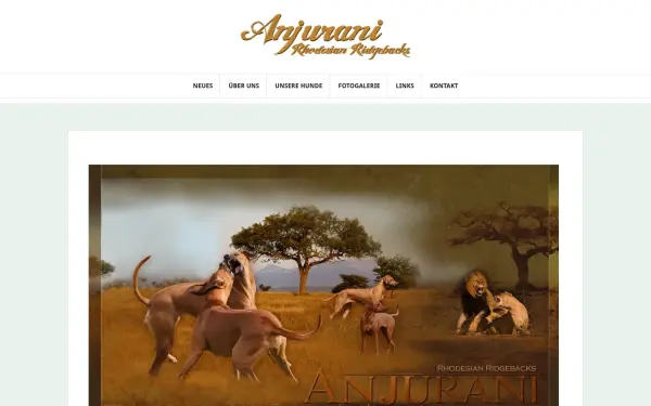www.anjurani.de