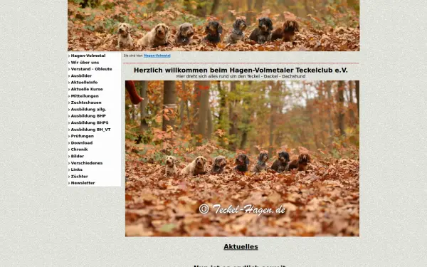dackel-hagen.de