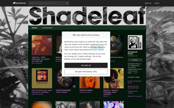 shadeleafmusic.bandcamp.com