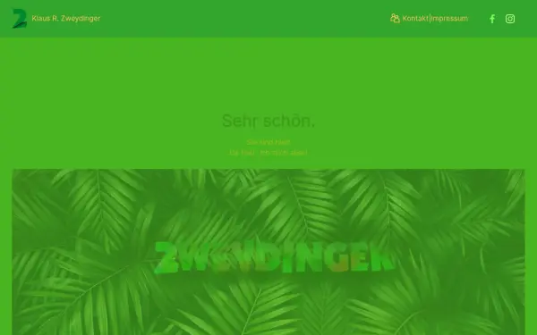 zweydinger.de