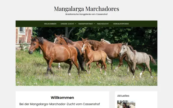 mangalarga-marchadores.de
