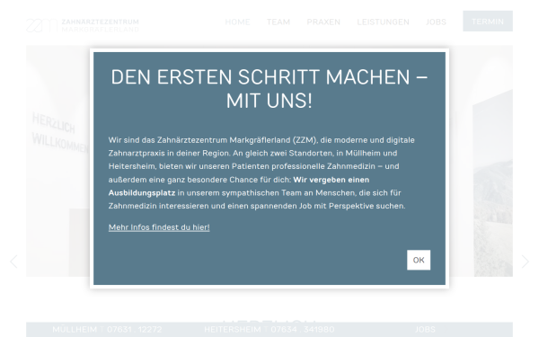 www.zz-m.info