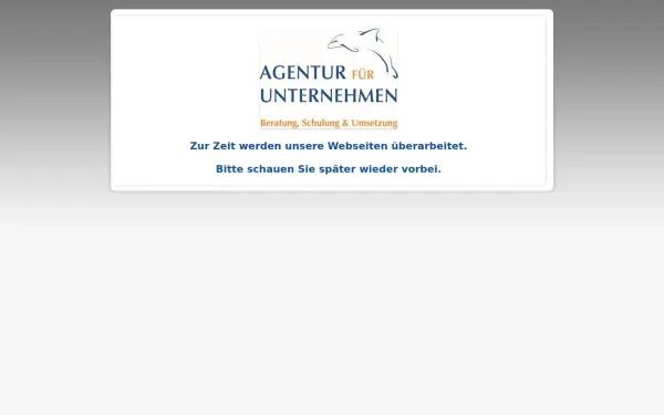 agenturfuerunternehmen.de