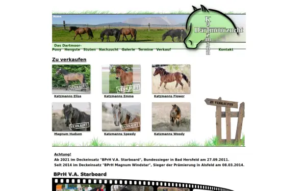 dartmoorzucht-katzmann.de