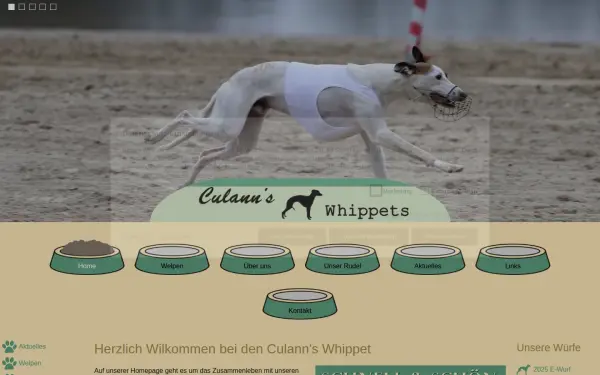 culanns-whippets.de