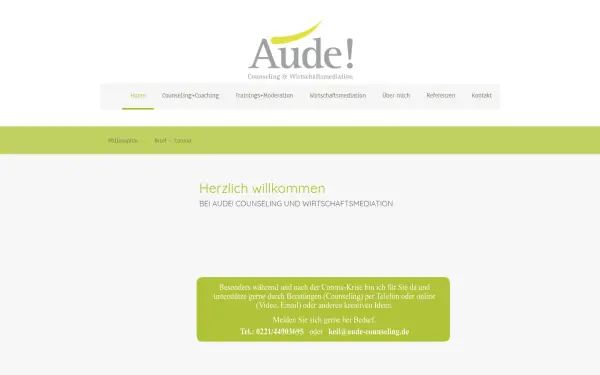 www.aude-counseling.de