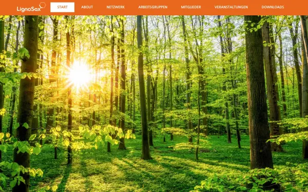 www.lignosax.de
