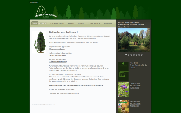 www.mammutbaum-schule.de