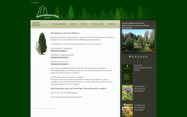 www.mammutbaum-schule.de