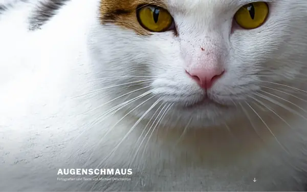 augenschmaus.athost.de