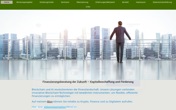 www.meisnerconsult.de