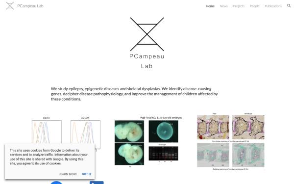 www.pcampeaulab.org