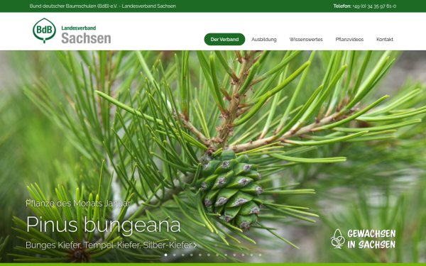 www.baumschulen-sachsen.de