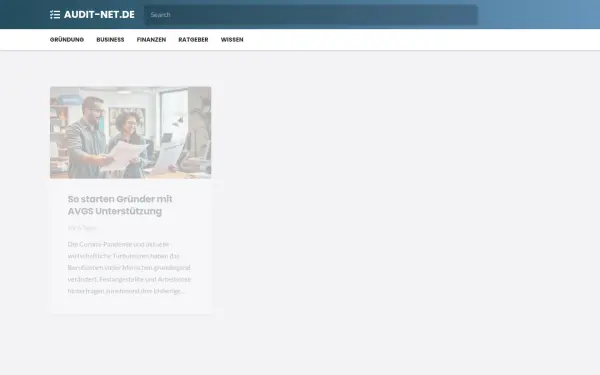 audit-net.de
