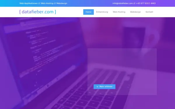 datafieber.com