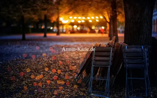 armin-karic.de