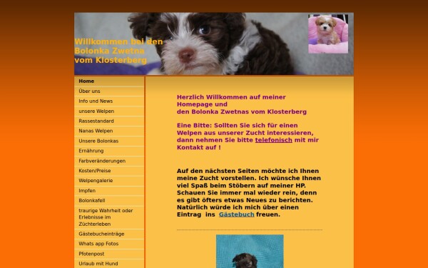 www.bolonka-zwetna-vom-klosterberg.de