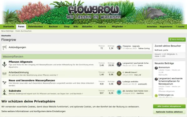 www.flowgrow.de