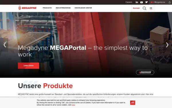megadynegroup.com