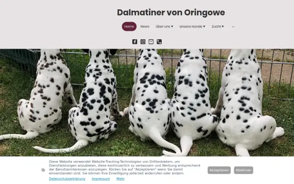 www.dalmatiner-von-oringowe.de