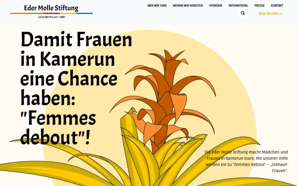 frauenstaerkenafrika.org