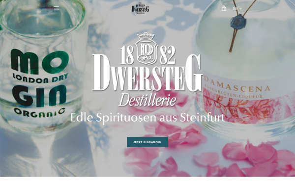 dwersteg.de