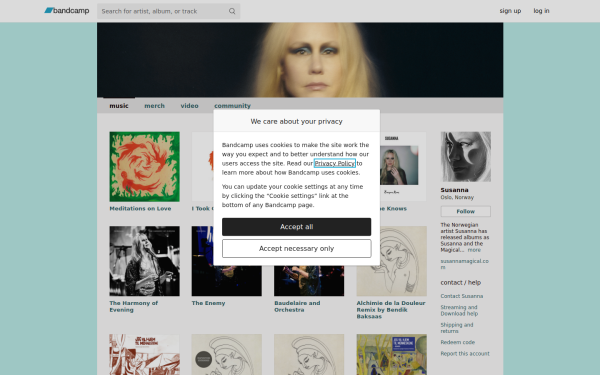 susannamagical.bandcamp.com