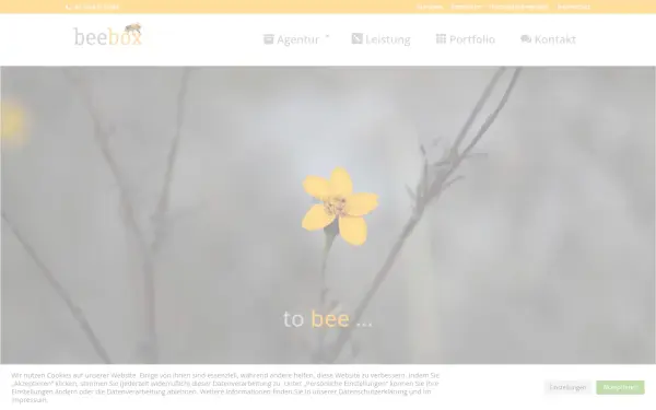 www.beebox.de