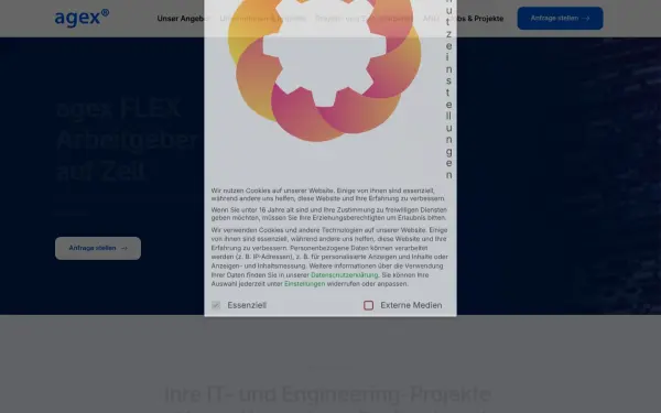 agex-flex.de