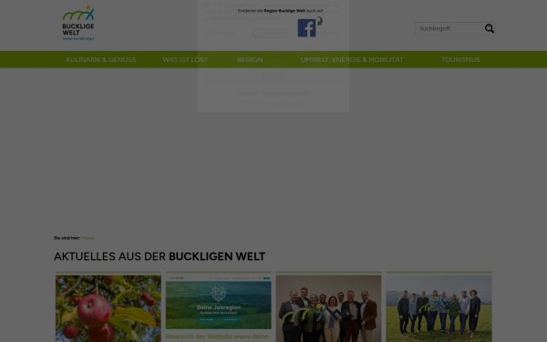 www.buckligewelt.at