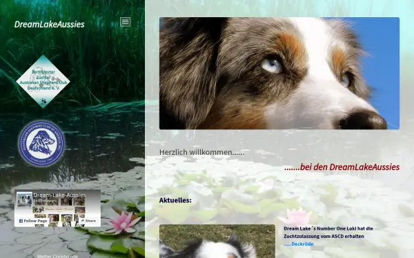 www.dream-lake-aussies.de