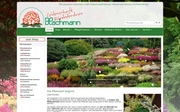 www.hachmann.de