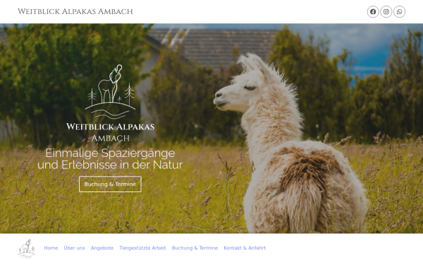 www.alpakas-ambach.at