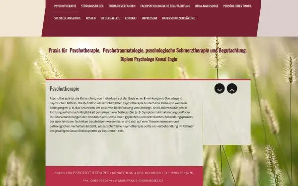 psychotherapie-engin.de