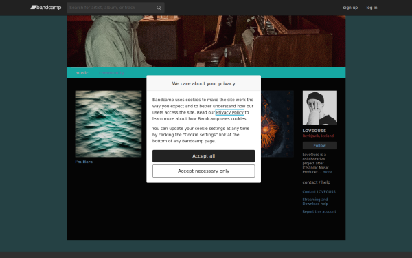 loveguss.bandcamp.com
